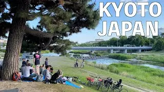 【4K】Прогулка по Дематиянаги и храму Симогамо | Киото, ЯПОНИЯ, 2022