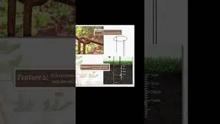 Plant Support Stakes#shortvideo
