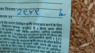 देवास मंडी सोयाबीन और गेंहू 26 दिसंबर 2022 भाव !! Dewas mandi soybean or genhu bhav today !!