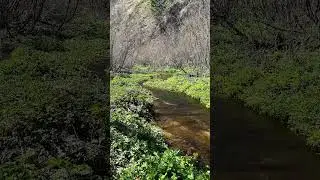 Sound of Water For Relaxation/ Шум Воды Для Релакса