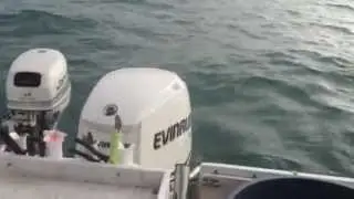 '99 Outrage 21, 225 HP E-Tec