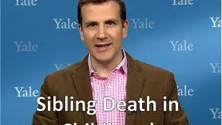 Experiencing Sibling Death a Powerful, Persistent Risk Factor for Early Mortality
