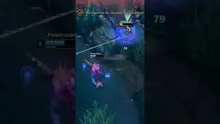 Classic Nautilus