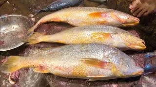 World's Most Impressive Larimichthys Crocea Fish Cutting Skills! Fish market | Fish fillets