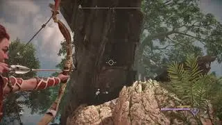 Black Box: The Memorial Grove | Horizon Forbidden West