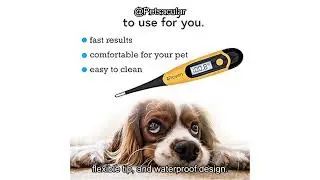 iProven Dog & Cat Thermometer Review: Fast, Accurate, & Comfortable for Pet Fever Detection