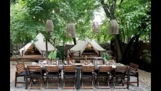 Bed & Breakfast & Beyond | New York Live TV