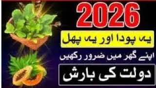 New Year 2026 Ka Tohfa Mehrban Ali 🥰 TREE & Fruit Ghar Me Zaror Rakhna 😇 #reels #newpost #2k26 #reel