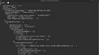 Find the jsonpath needed for kubectl