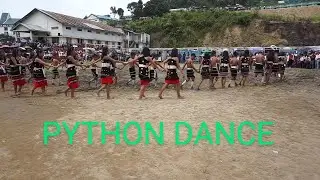 PYTHON DANCE OF THE ZELIANG NAGA TRIBE | PEREN | NAGALAND | INDIA |