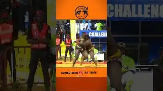 Eumeu Sene vs Sa Thies #luttes&eacute;n&eacute;galaise #lamb #eumeusene #sathies #senegal