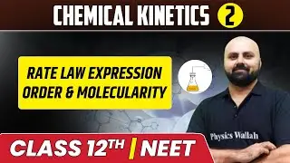 Chemical Kinetics 02 | Rate Law Expression | Order & Molecularity | Class 12th/NEET