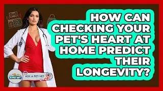 How Can Checking Your Pet's Heart At Home Predict Their Longevity? - Ask A Pet Vet