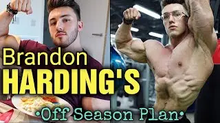Brandon Harding - UPDATE - His New Off Season Plan Explained!!!