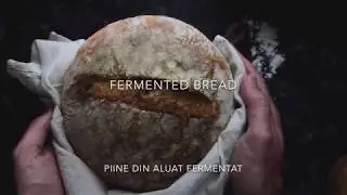 Fermented Bread Recipe