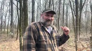 Splitting Firewood With Splitting Maul