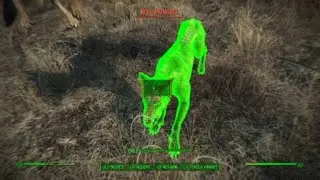 Fallout 4 wild mongrel