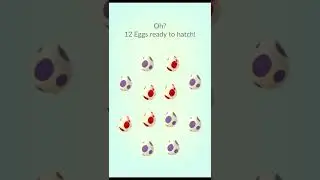 12 more eggs and STILL HUNTING for *FIRST* JANGMO-O or SALANDIT... (7x 10 KM, 5x 12 KM) | Pok&eacute;mon GO