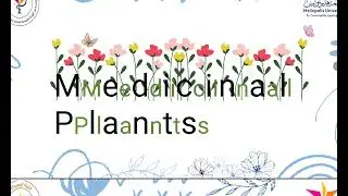 مراجعة  lab medicinal plants جزء لل botany مع نبات Henna & Senna& Sage|| طلبة أولى صيدلة 
