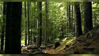 Nature 's Excellent visuals .
