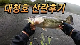 대청호 산란 후기 배스는 어디있을까? #배스낚시 #낚시 #빅베이트