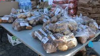 Berean Outreach Ministry Center - Weekly Drive Thru Food Distribution