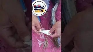 حسبى الله ونعم الوكيل فى كل من يضر الناس صيادين جرجا يبطلون الاعمال