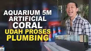 SETUP PIPE AQUARIUM MARINE 5 METER ARTIFICIAL CORAL!