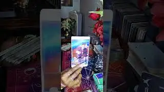 👍The 