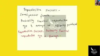 [Biology] What is the reproductive success of a semelparous female that has a 25% chance of surviva