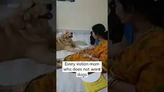 every indian mom who doesn't want dogs #shorts #dog