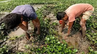 Traditional Bill Fishing Video | Incredible Fishing Video ~ Zaor Fishing