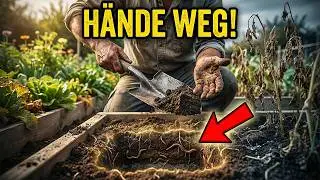 Ich bin beim Gärtnern immer gescheitert – bis ich diese EINE Regel gelernt habe: Nie wieder graben.