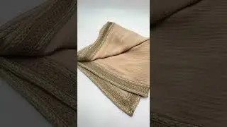 Blush Beige Textured Shawl with Golden Mughal Embroidery Border | SISH 10