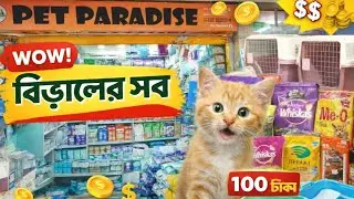 Persian Cat Food Price in Bangladesh 2026 😱 Cat food for 100 taka? | Pet Paradise Persian 2026