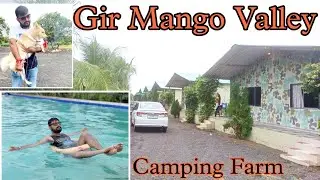 Gir Mango Valley | Camping Farm | Surva | Sasan Gir