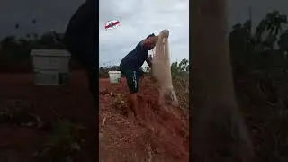 Karan Bhalla PMO , Karan Bhalla Encompass, karan bhalla CBI Actor - funny videos