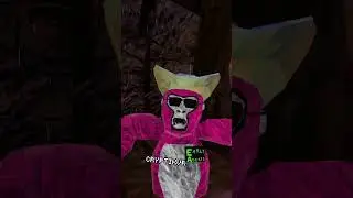 How I got Early Access #gorillatag #storytime #vr