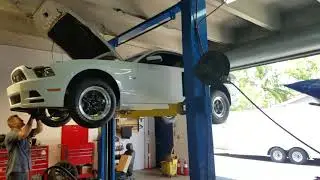 Coyote Swapped 93 Cobra at Power by the hour and Modnats wrap up!