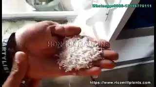 25T Per Day Rice Mill in Philippines | Fully Automatic, Easy to Operate, Perfect for Farms #RiceMill