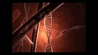 Melungeon DNA - Sweetgum Kriyul genetic analysis and mysteries unlocked