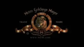 Tele M&uuml;nchen Group/Metro-Goldwyn-Mayer/Lakeshore Entertainment (2004)