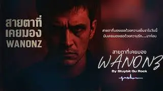สายตาที่เคยมอง-WANONZ (Official Audio)