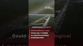 Breaking News: Environmental Laws Could Halt Florida 'Alligator Alcatraz' Construction #environment
