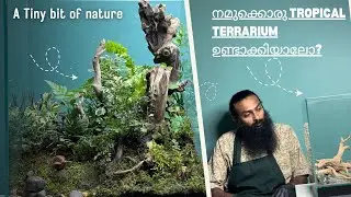 Tropical Forest Terrarium Making