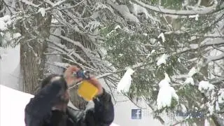 PrinceGeorge, BC, Canada - The SnowShow