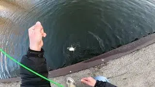 Winter bass fishing in Illinois with rattletrap. #bassfishing #GoPro