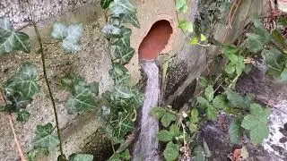 Outfall Safari in-stream survey