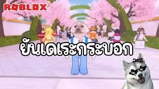ความบ้าคลั่งแห่งความรัก | Roblox (Love Madness)