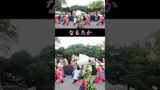 なるたか / 原宿表参道元氣祭 スーパーよさこい / 原宿口ステージ / 2025-08-23 #よさこい #ダンス #原宿表参道元氣祭 スーパーよさこい #スパよさ #なるたか